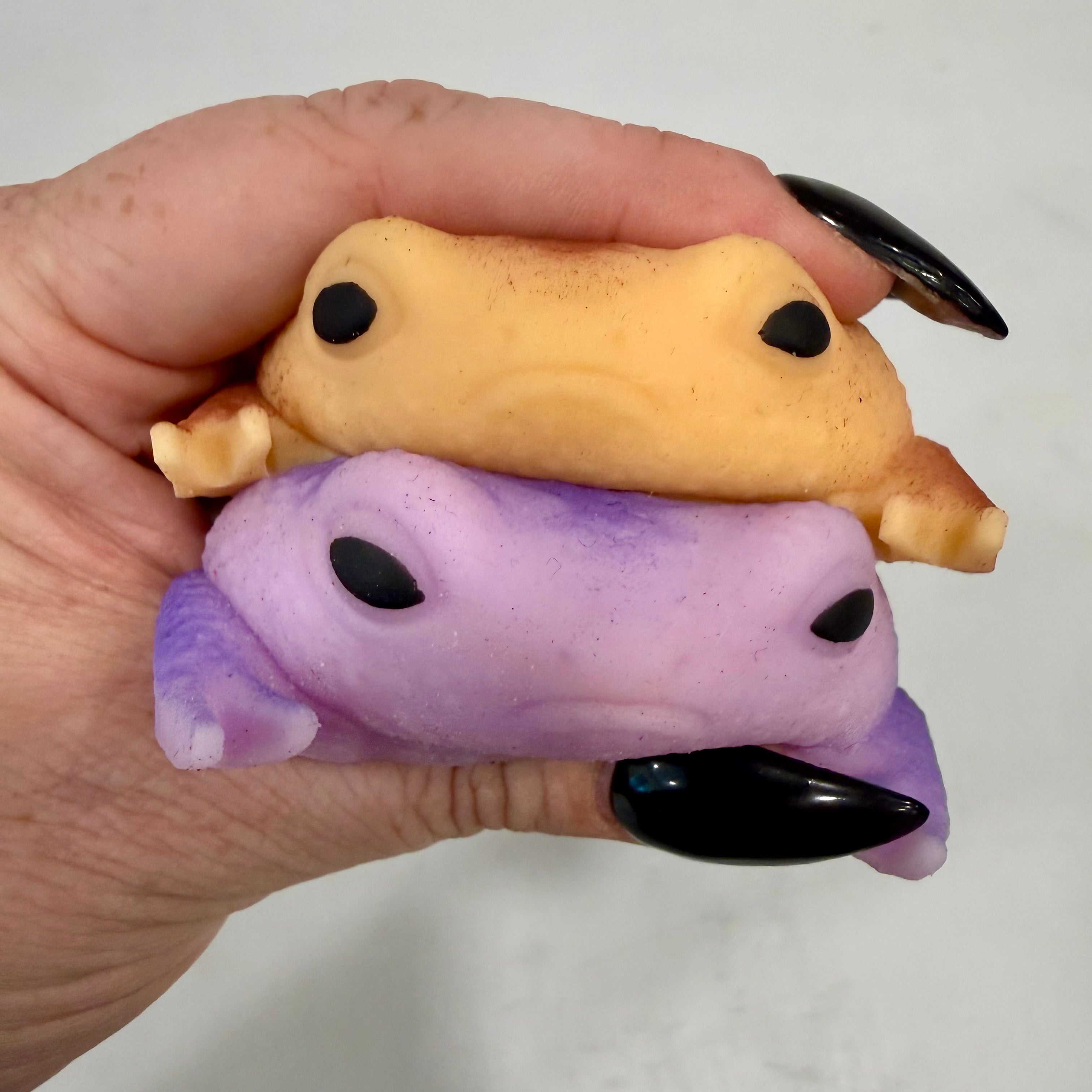 Squishy Rain Frog Stress Toy