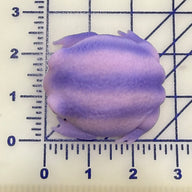 Squishy Rain Frog Stress Toy