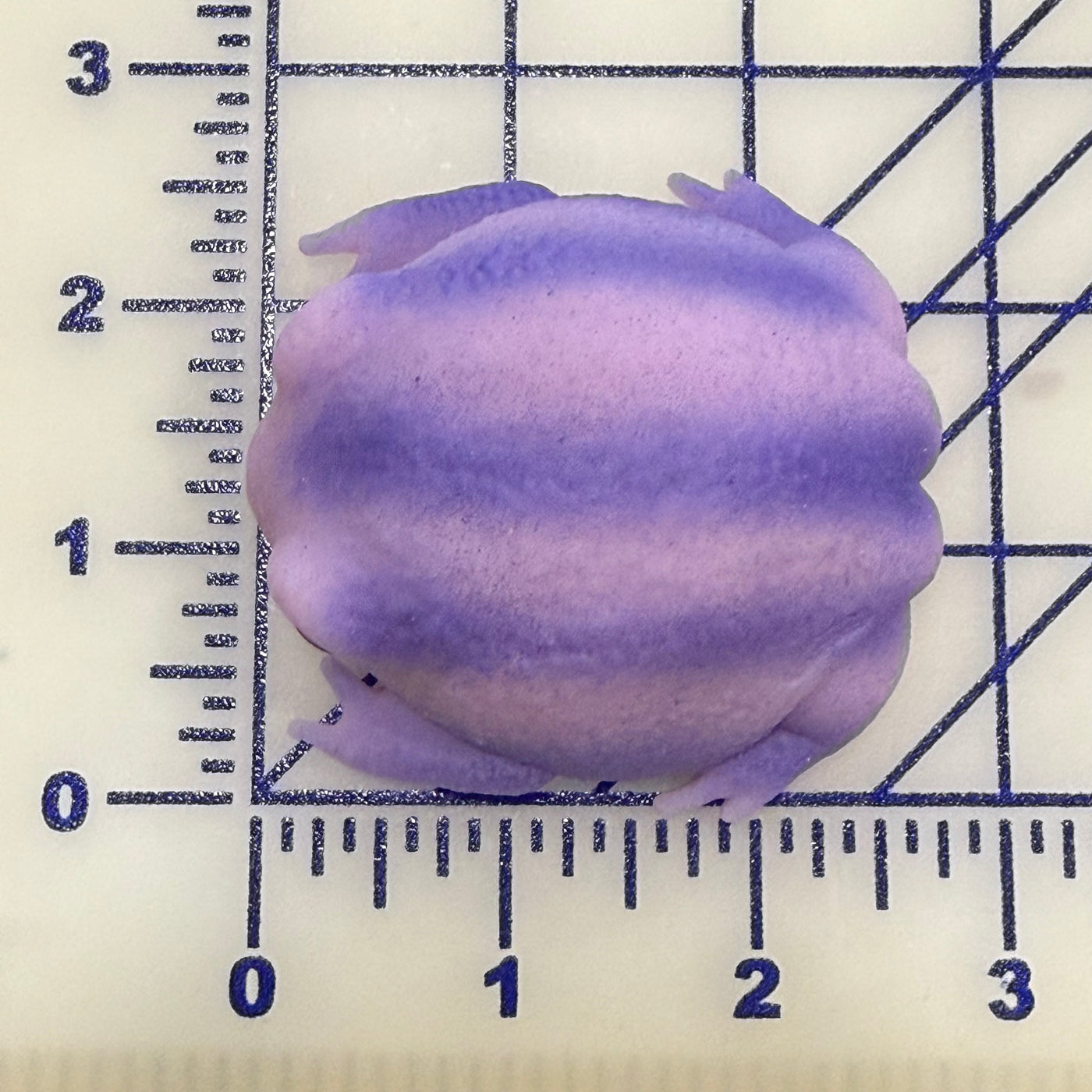 Squishy Rain Frog Stress Toy