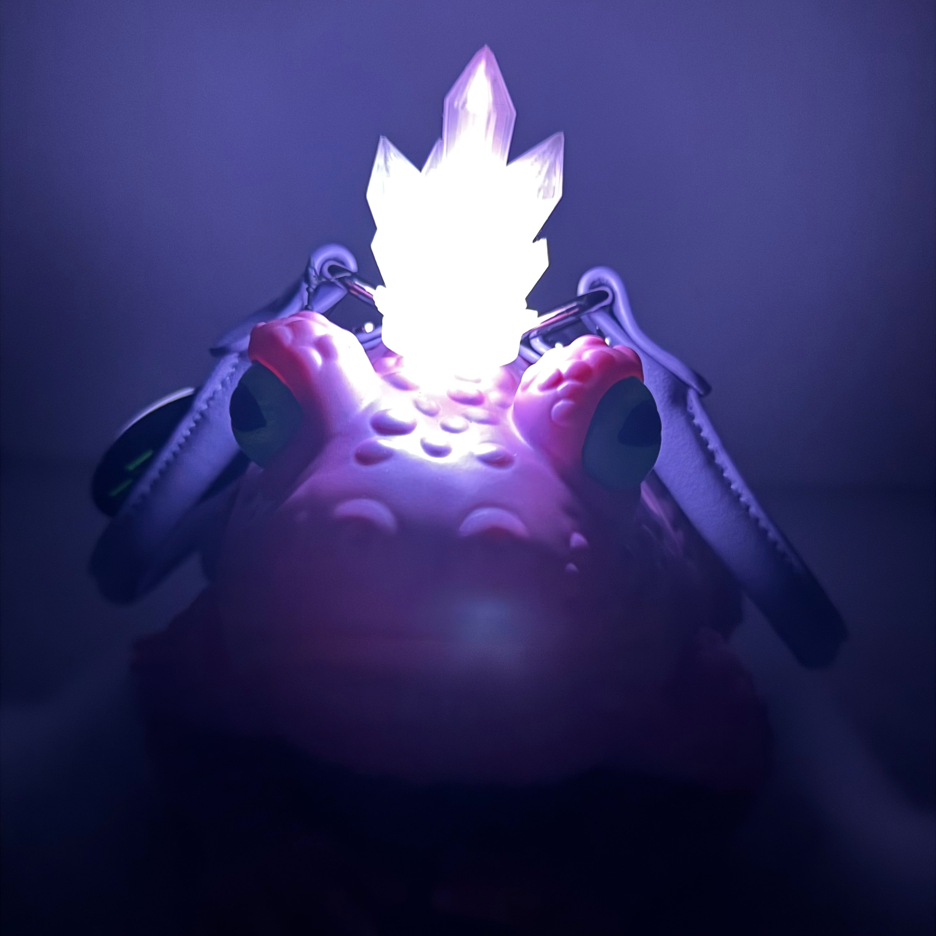 Crystal Crown Light Up