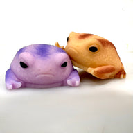 Squishy Rain Frog Stress Toy