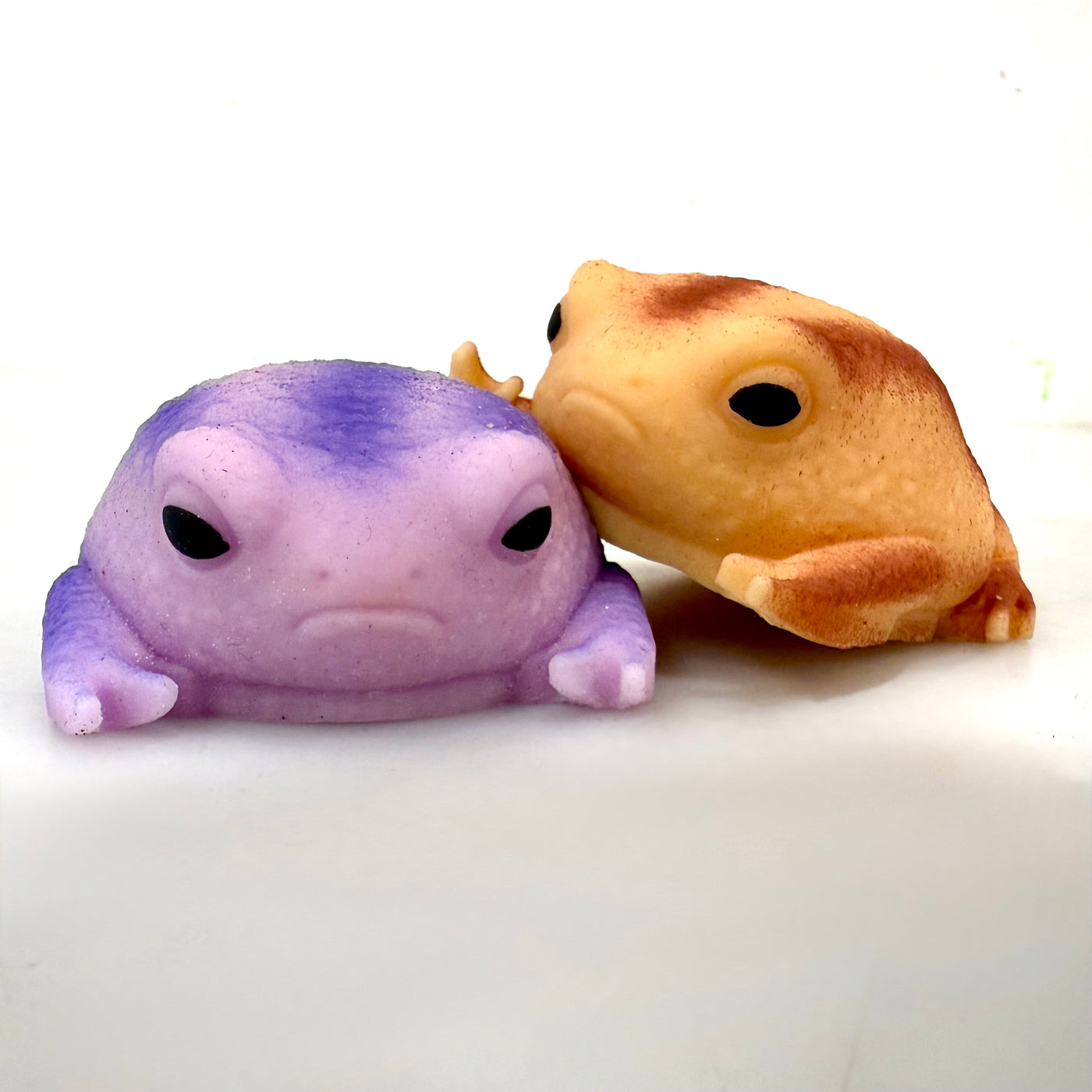 Squishy Rain Frog Stress Toy