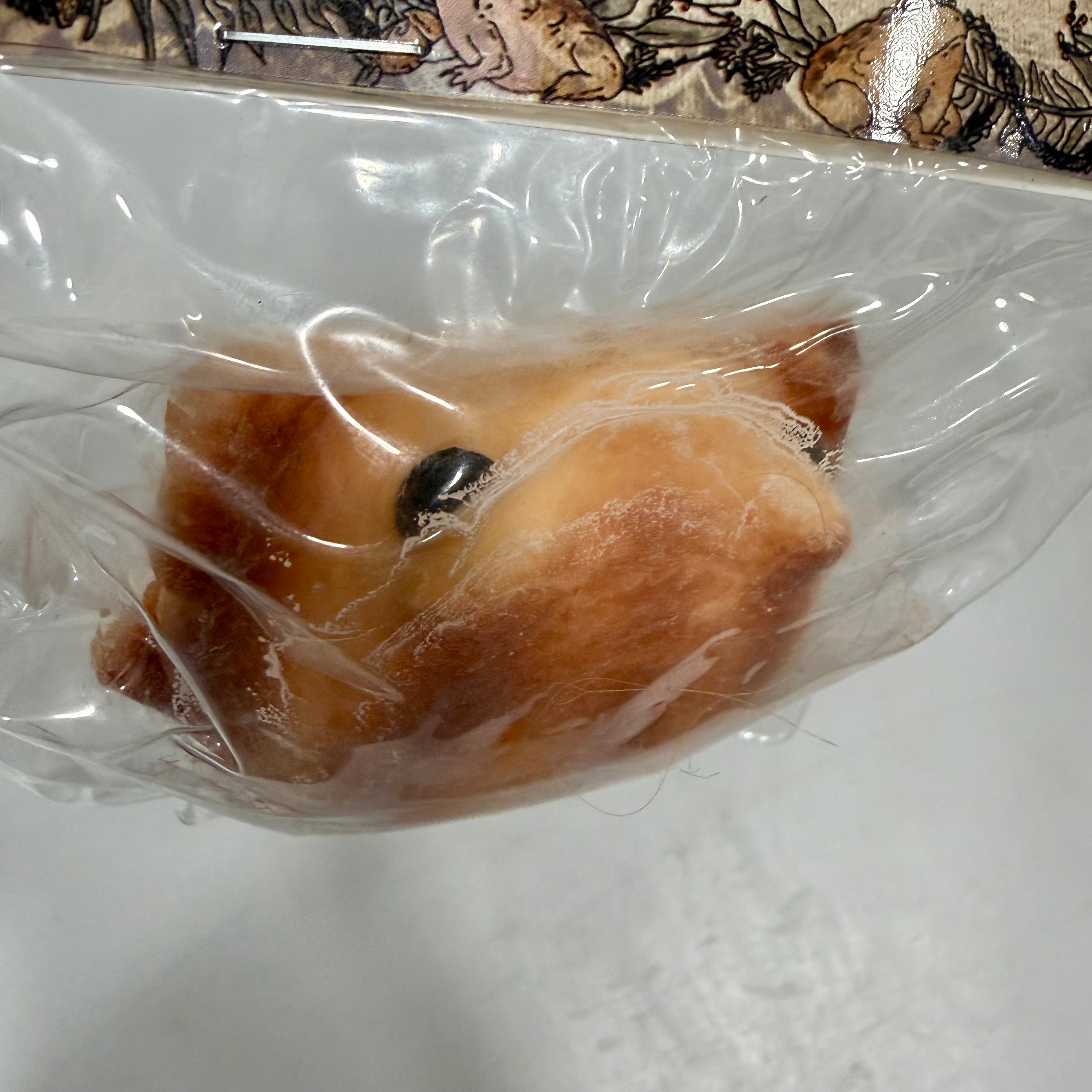 Squishy Rain Frog Stress Toy