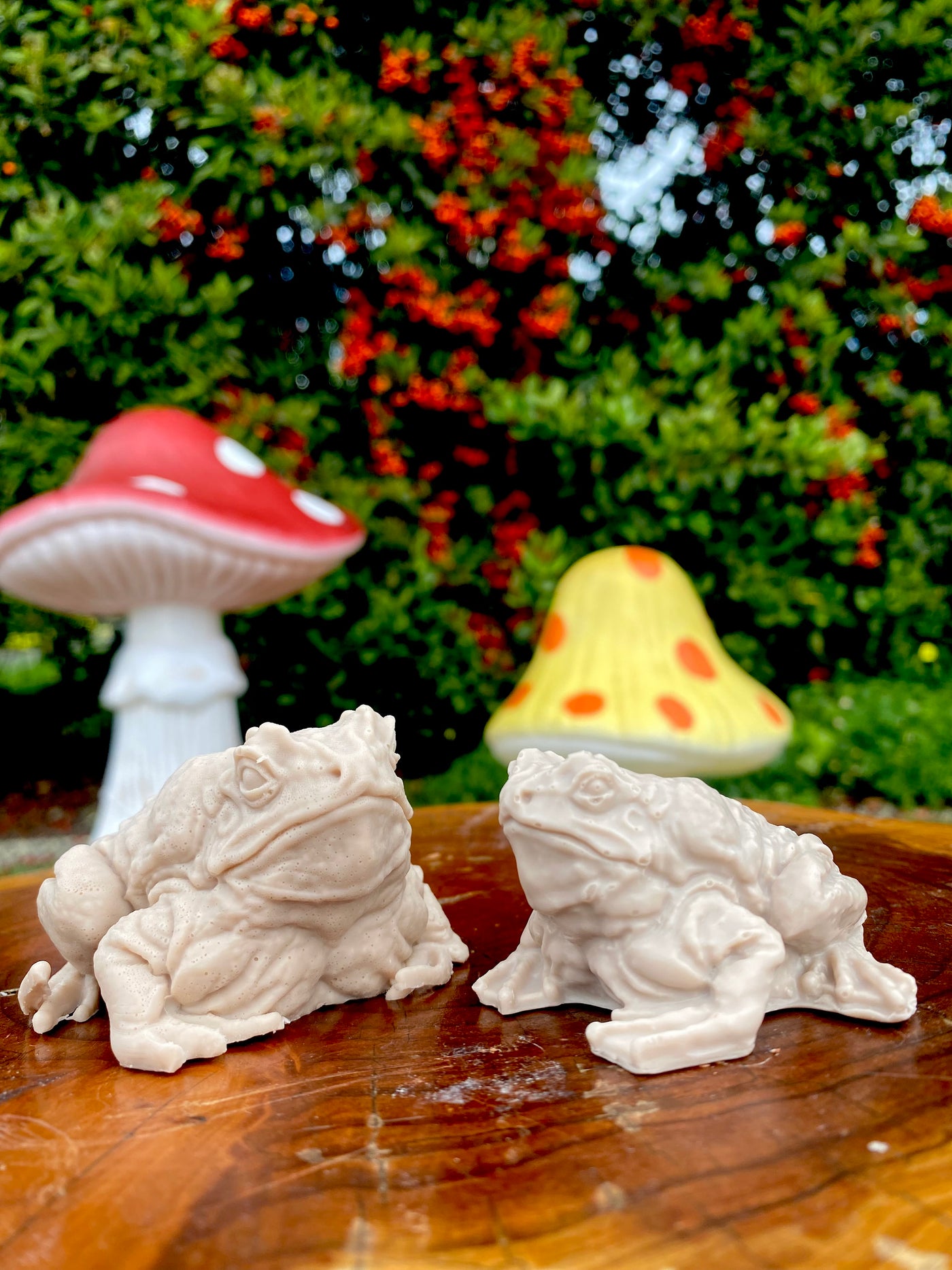 Toad Soaps