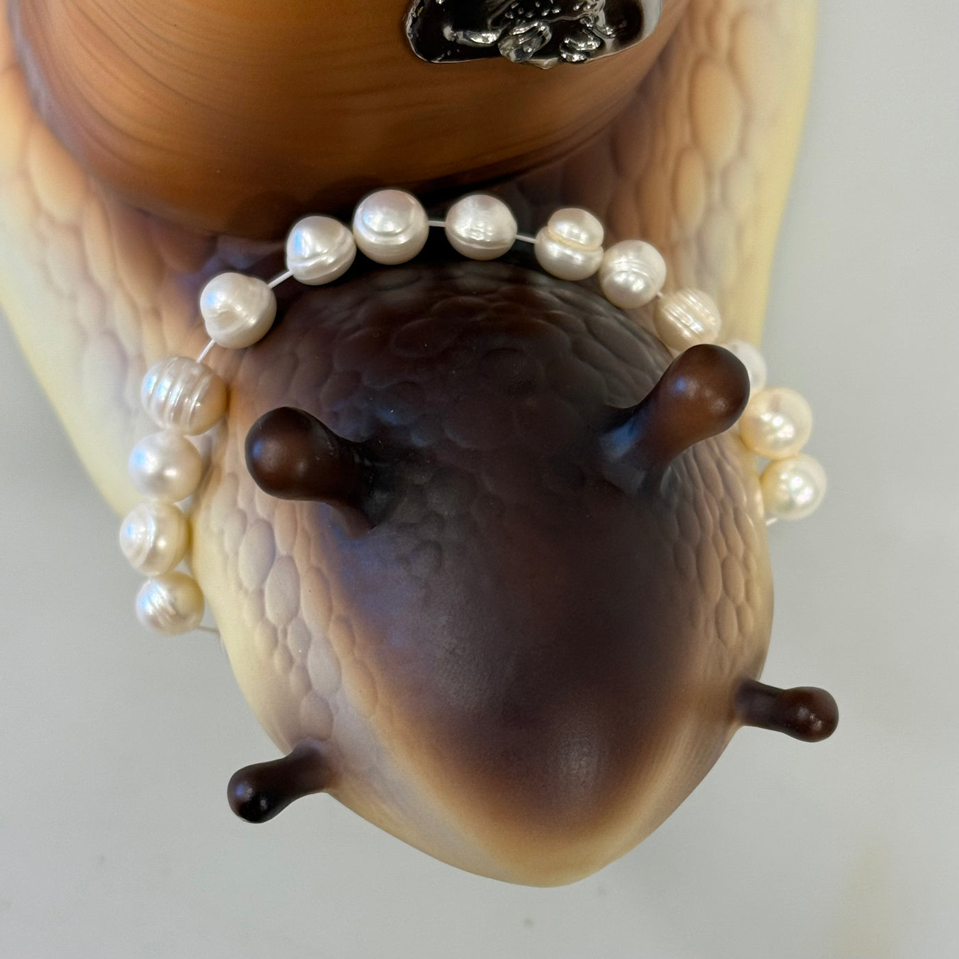 Small Pearl Necklace For Snail