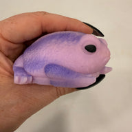 Squishy Rain Frog Stress Toy