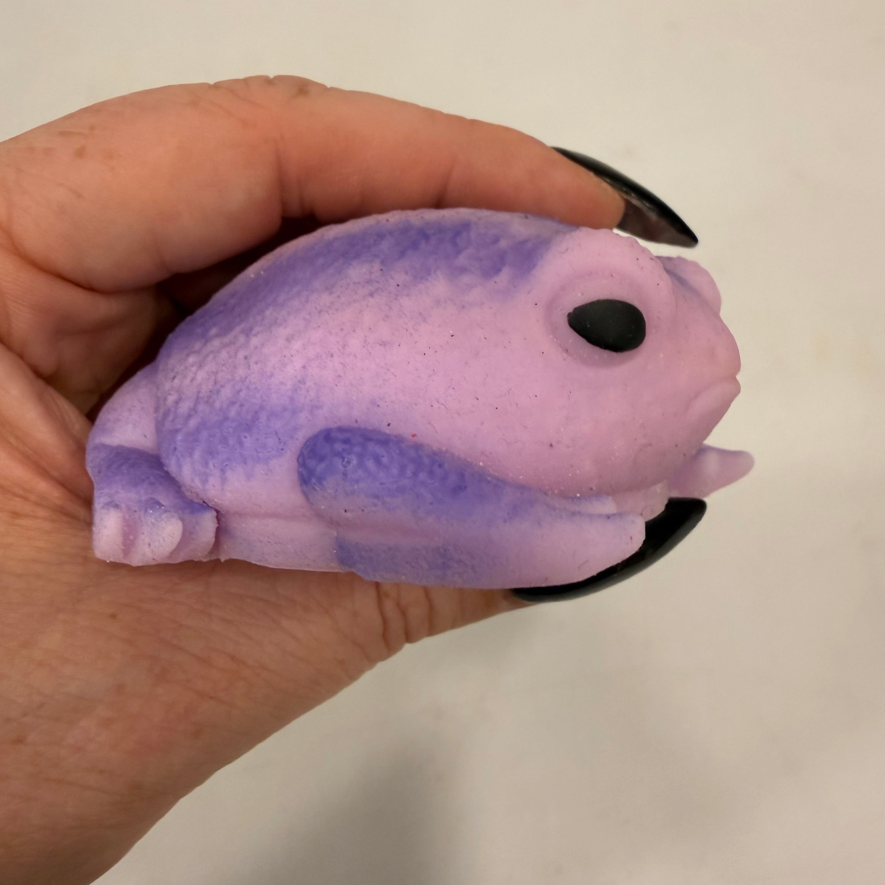 Squishy Rain Frog Stress Toy