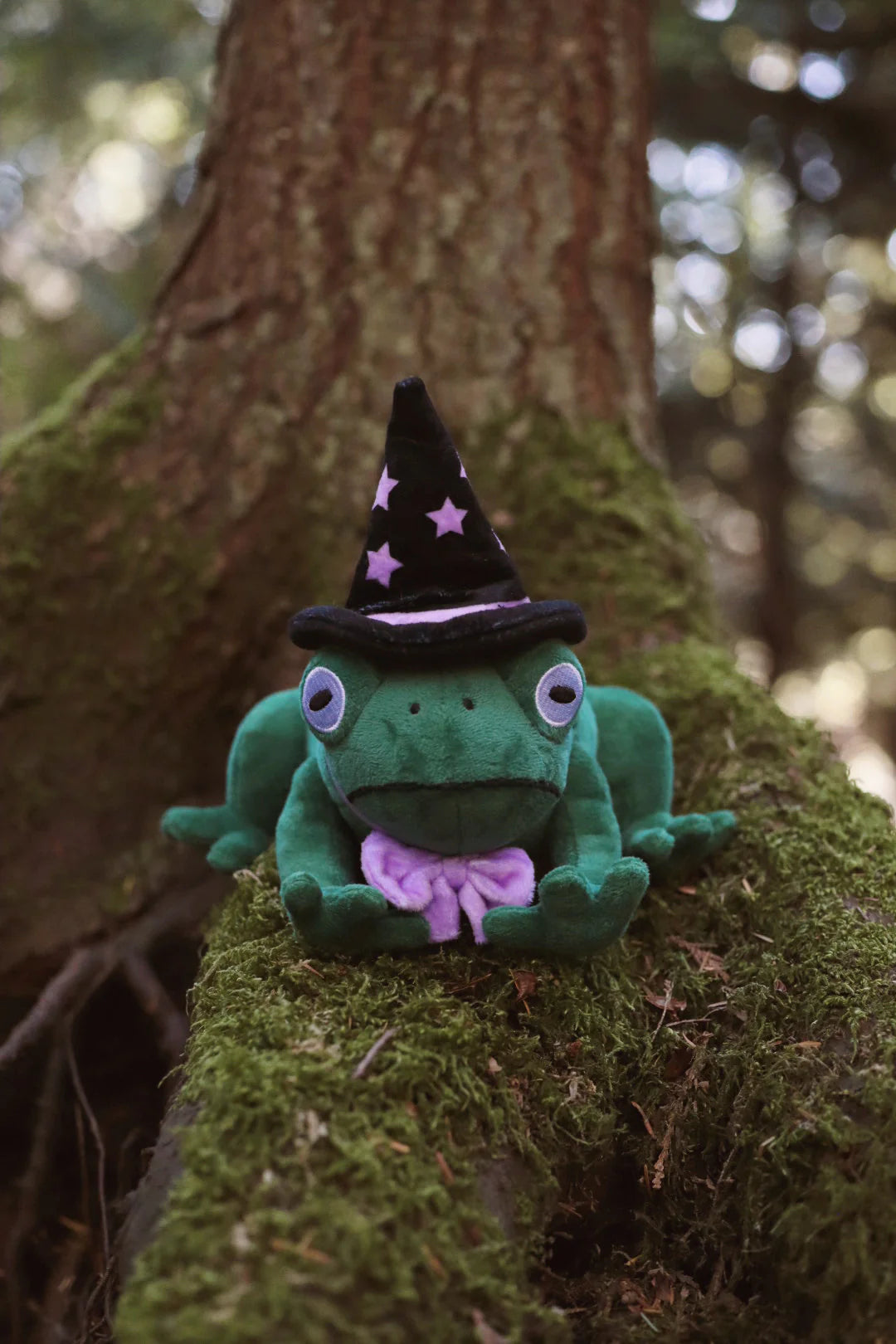 Witch Toad Plushie