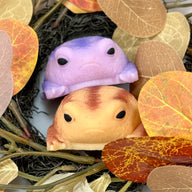 Squishy Rain Frog Stress Toy