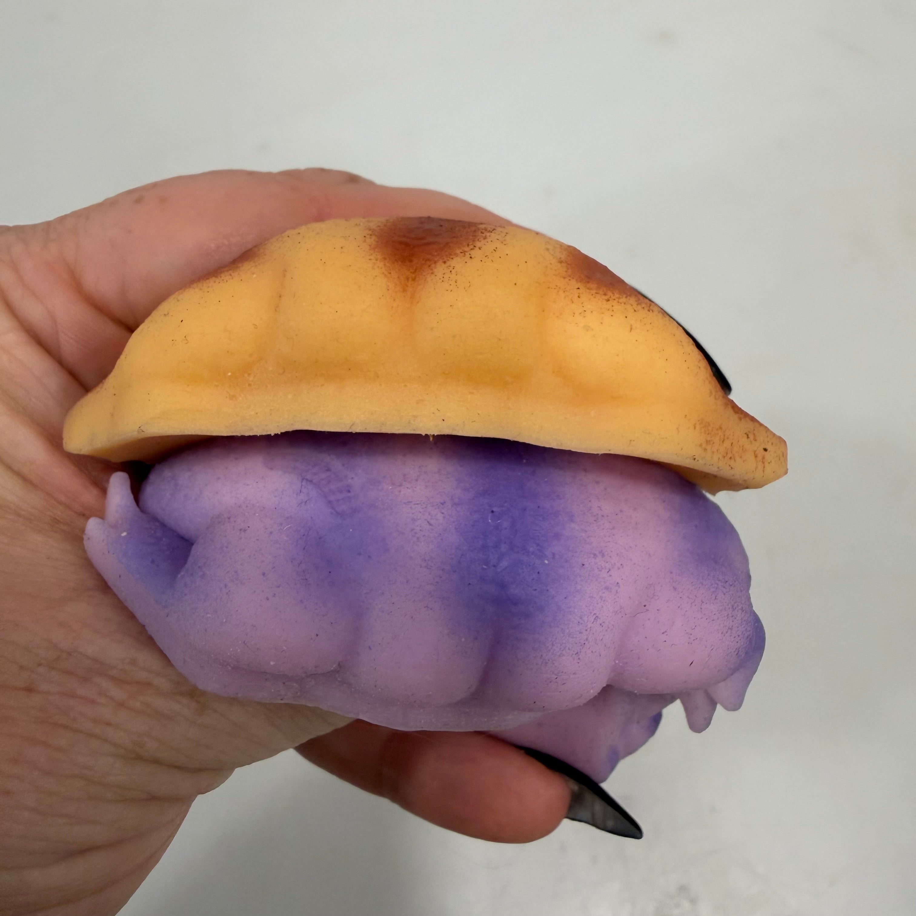 Squishy Rain Frog Stress Toy
