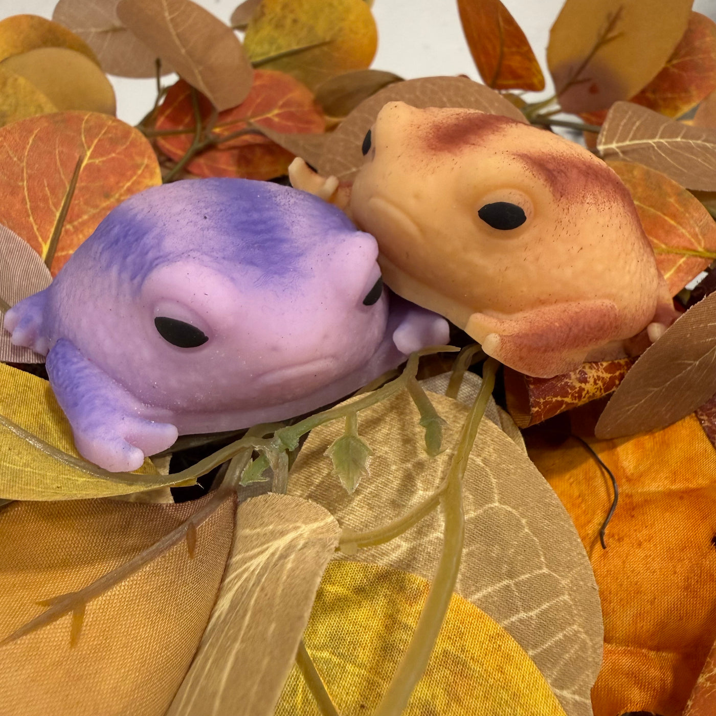 Squishy Rain Frog Stress Toy