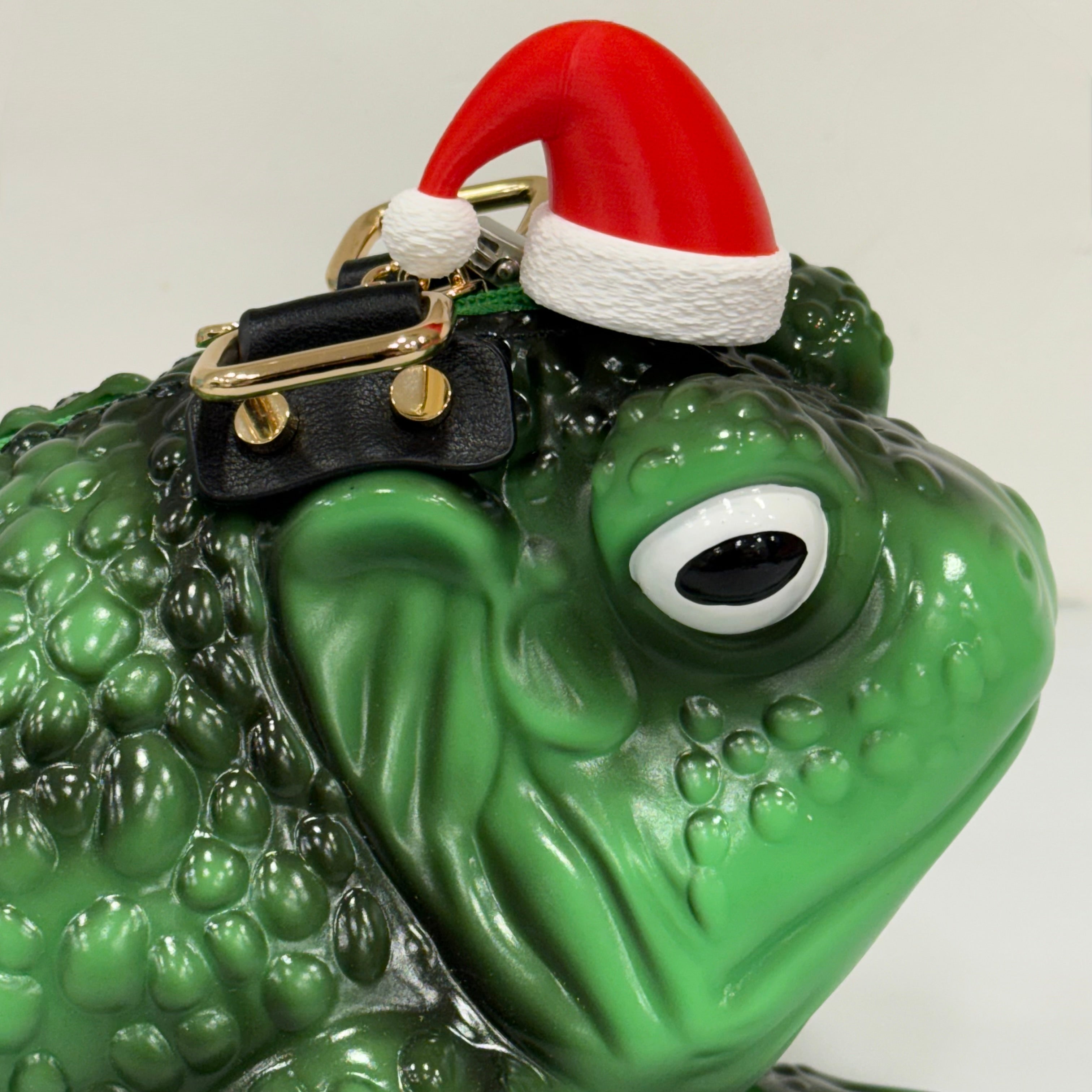 Santa Hat For Toad Bag