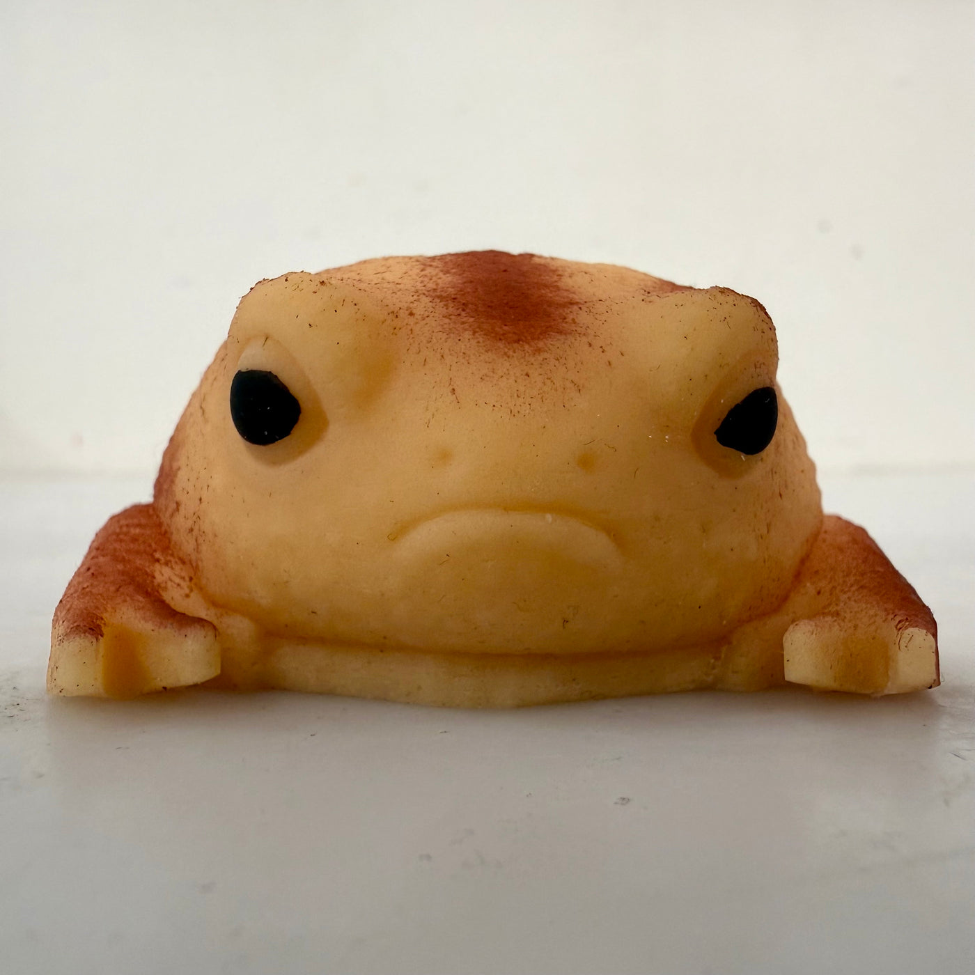 Squishy Rain Frog Stress Toy