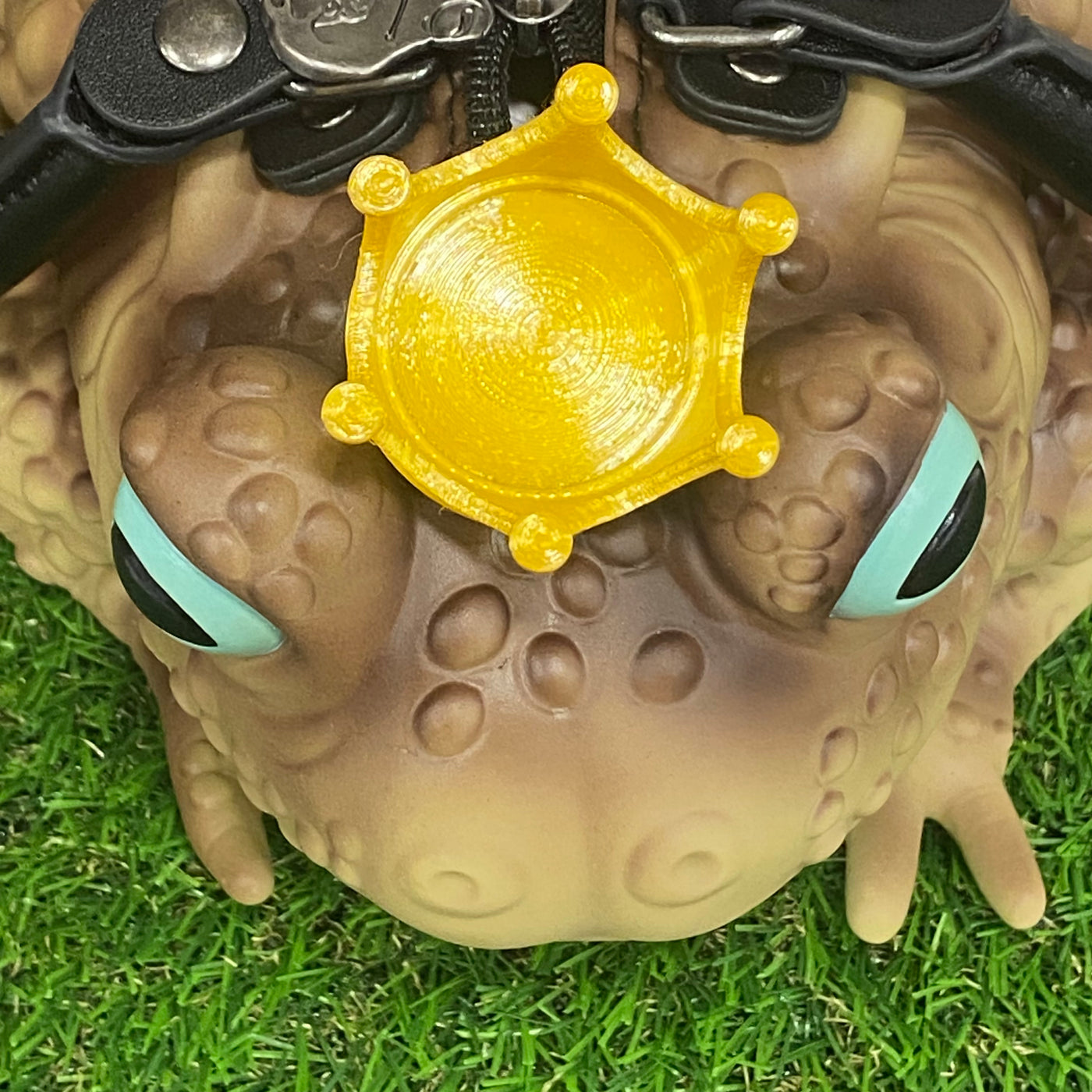 Crown Toad Accessory