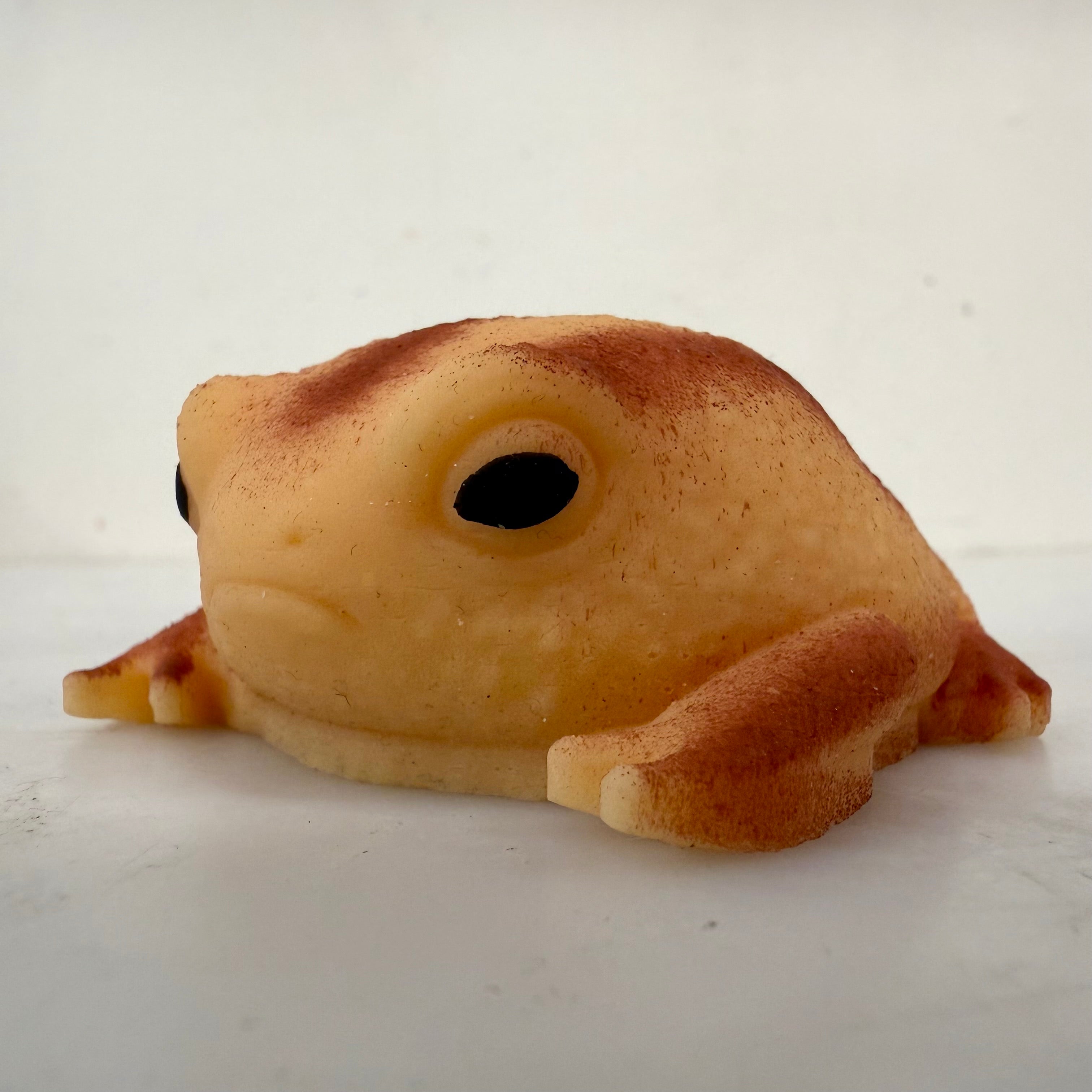 Squishy Rain Frog Stress Toy