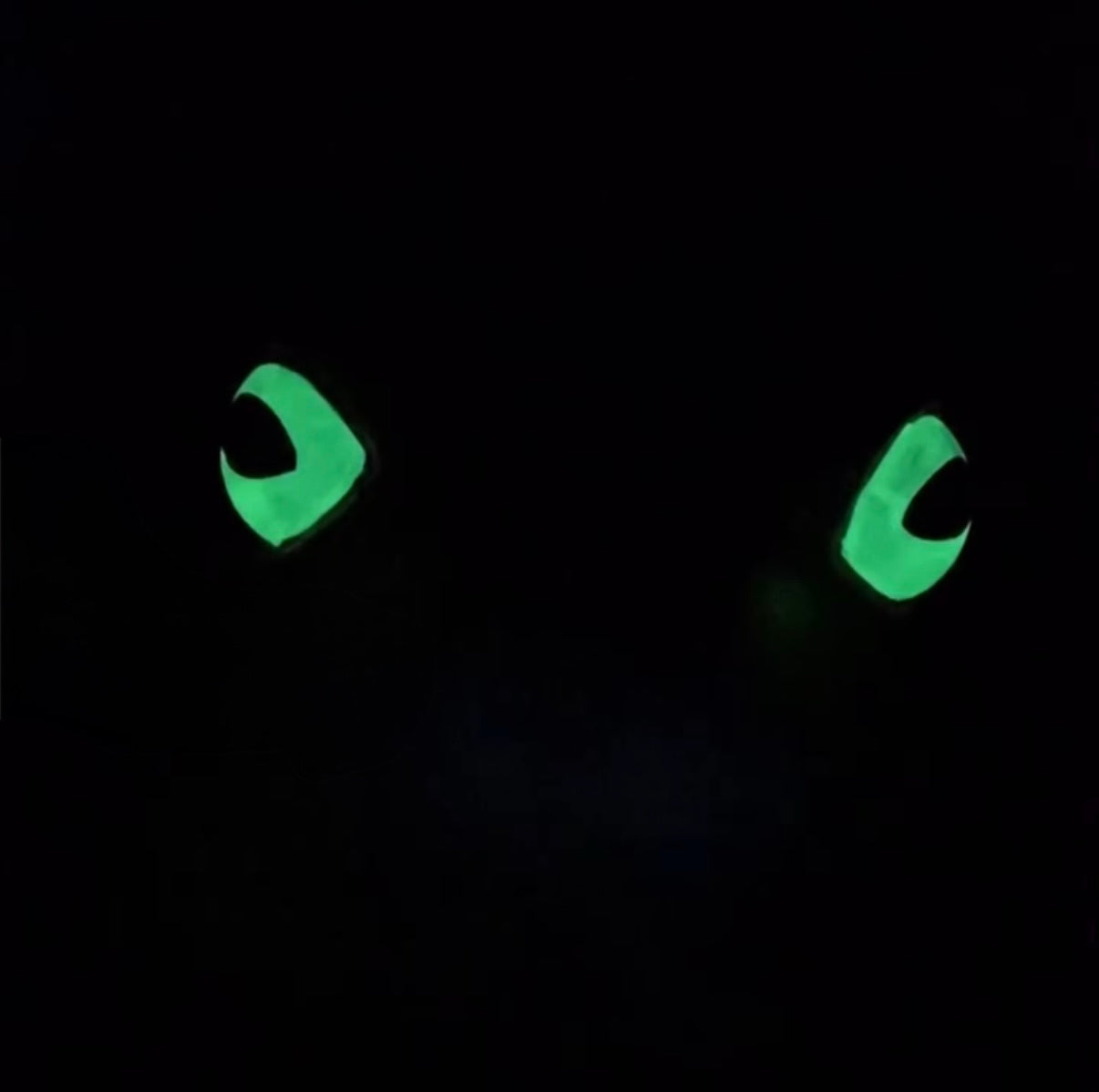 Dark Purple Toad Bag - Glow Eyes