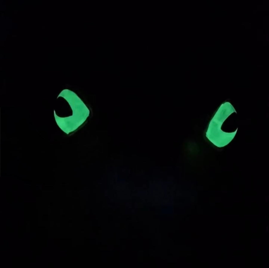 Black Toad Bag - Green Glow Eyes, Gunmetal Hardware