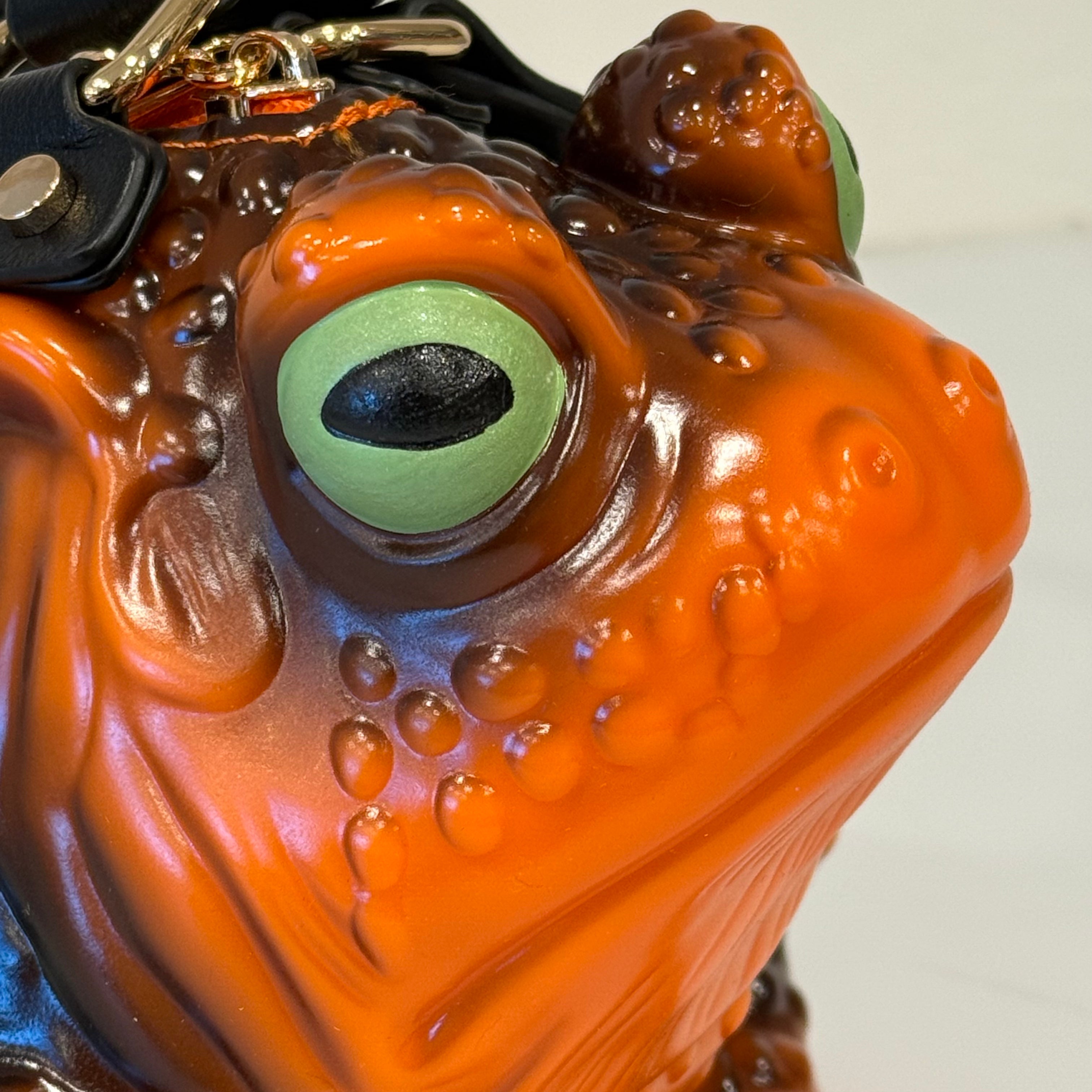 Orange Toad Bag
