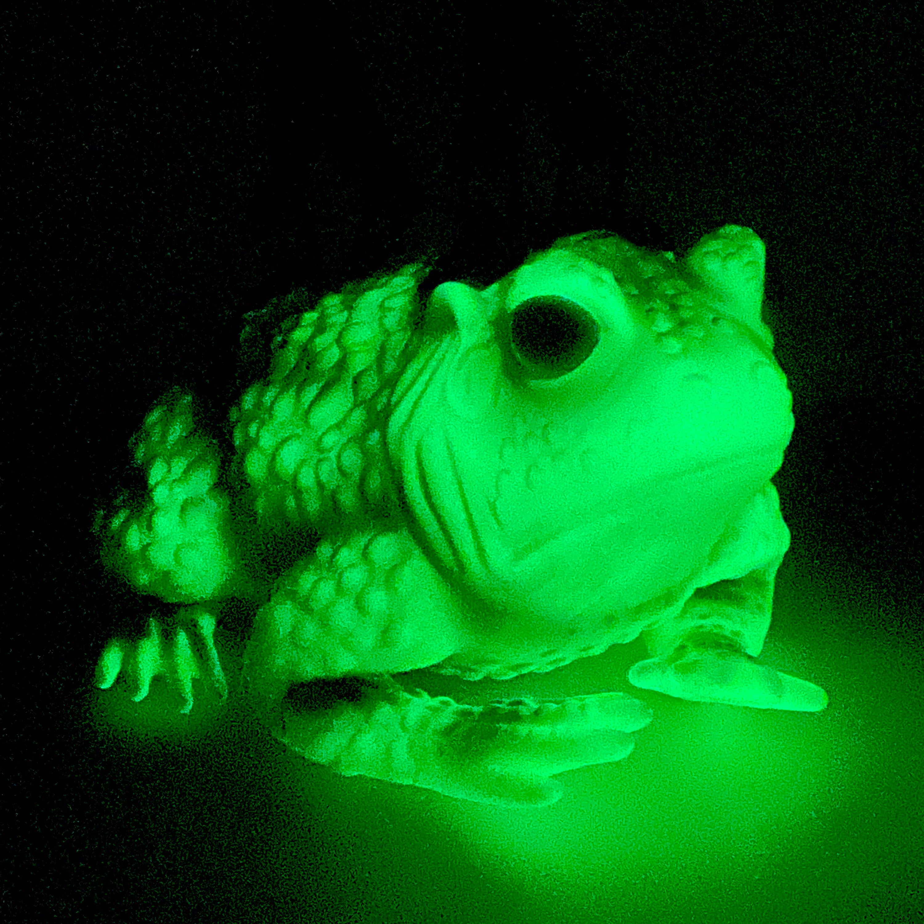 Green Glow in the Dark Toad Bag · Windy Willow