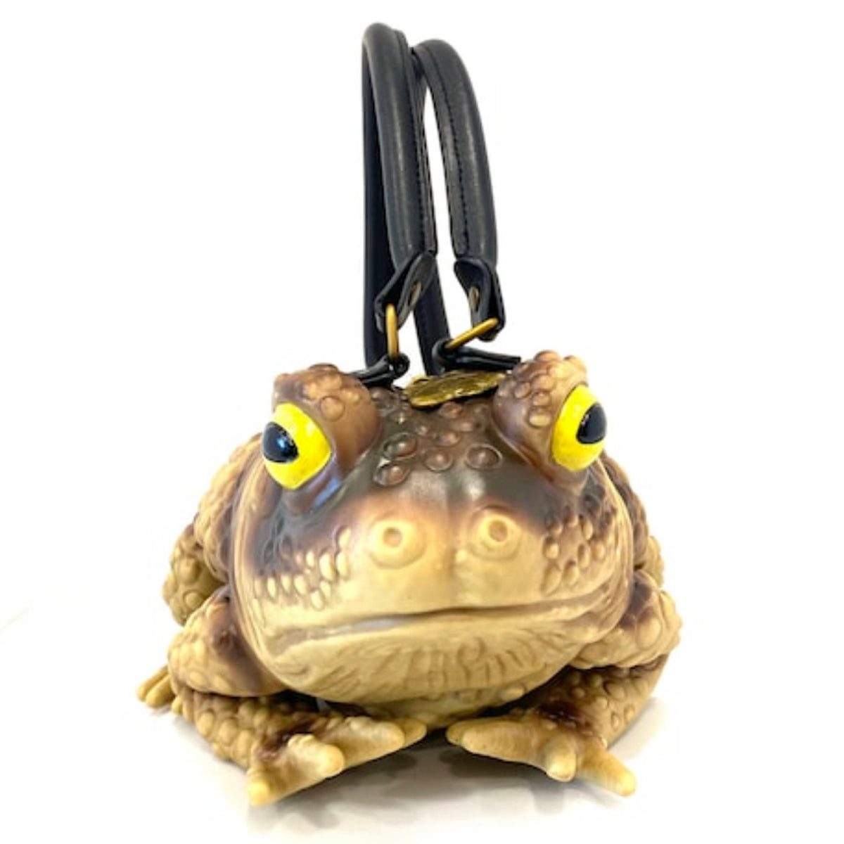 Frog Coin Purse - Taxidermy Mounts for Sale and Taxidermy Trophies for Sale!